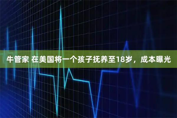 牛管家 在美国将一个孩子抚养至18岁，成本曝光